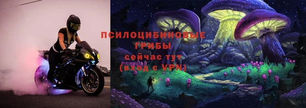 трава Арсеньев