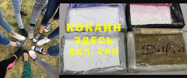 трава Арсеньев
