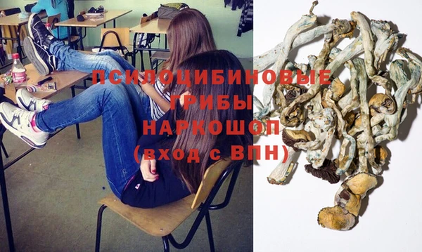 трава Арсеньев