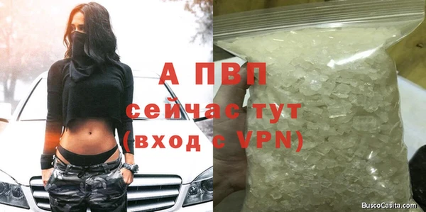 трава Арсеньев