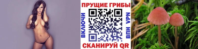 наркошоп  Ельня  мега ТОР  Псилоцибиновые грибы мицелий 