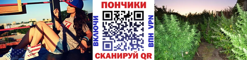 МАРИХУАНА SATIVA & INDICA  купить  цена  Ельня 
